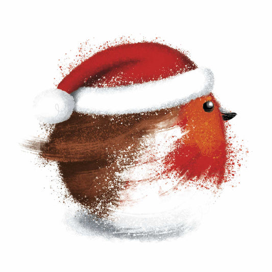 (6) Round Robin - Pack of 10 Christmas Cards